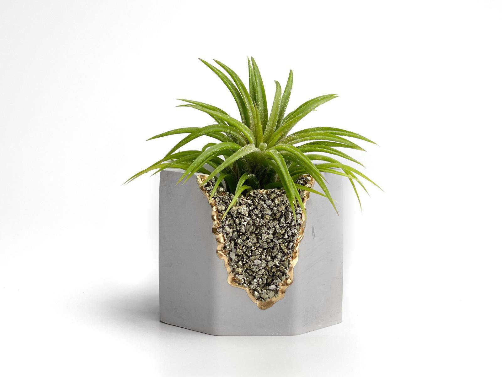 Other Succulent Pyrite Crystal Planter Geode Air Plant Gemstone Size ONE SIZE - 5 Thumbnail