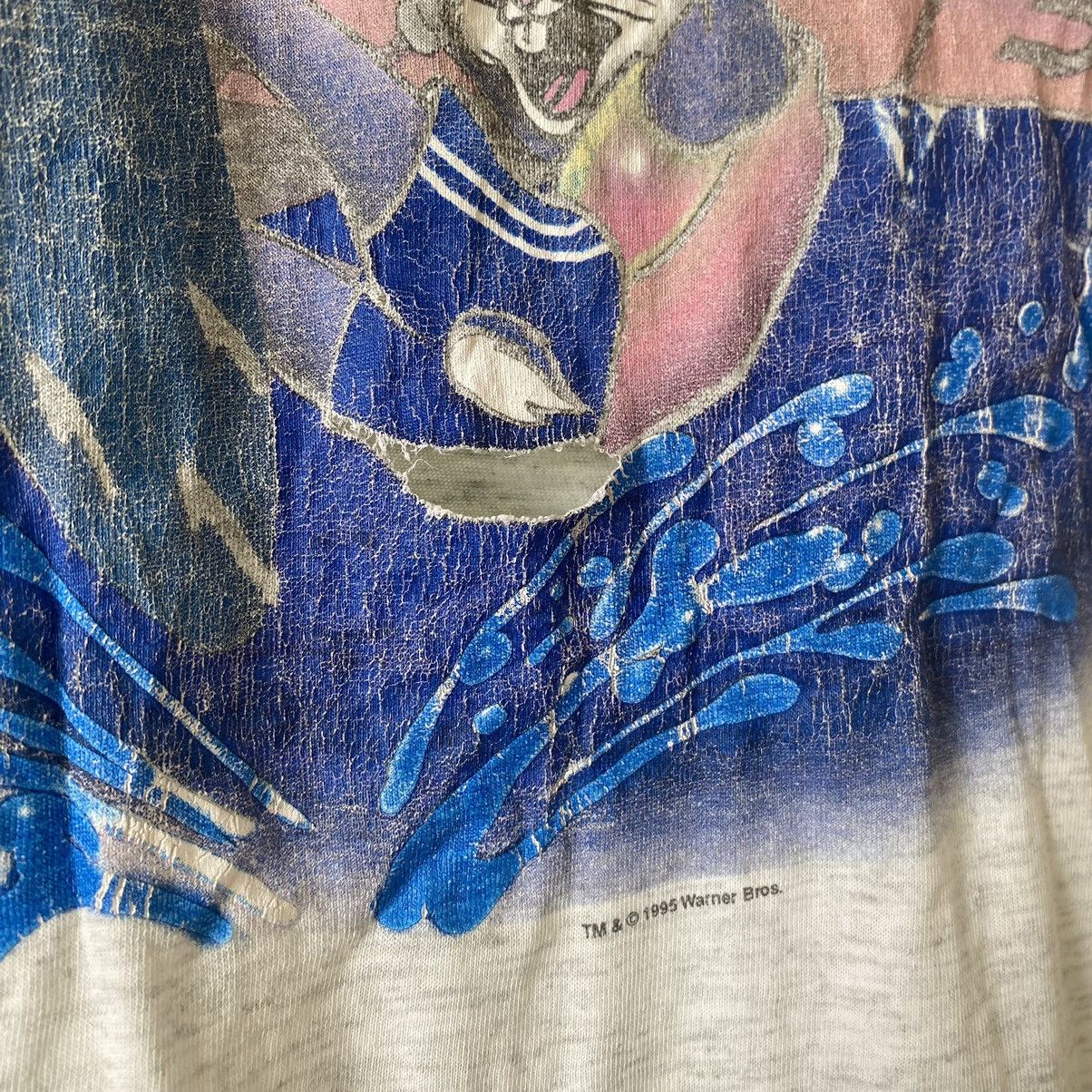 Warner Bros Thrashed Vintage 90s Sailboard Bugs ERD GRUNGE FADED TSHIRT Size US L / EU 52-54 / 3 - 2 Thumbnail