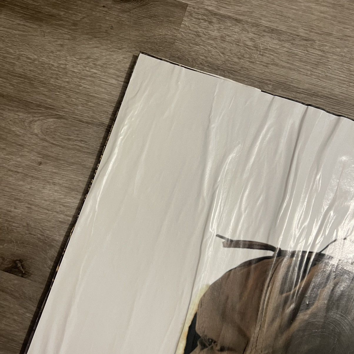 Supreme × Tyler The Creator Supreme Tyler The Creator Photo Tee Poster Size ONE SIZE - 4 Thumbnail