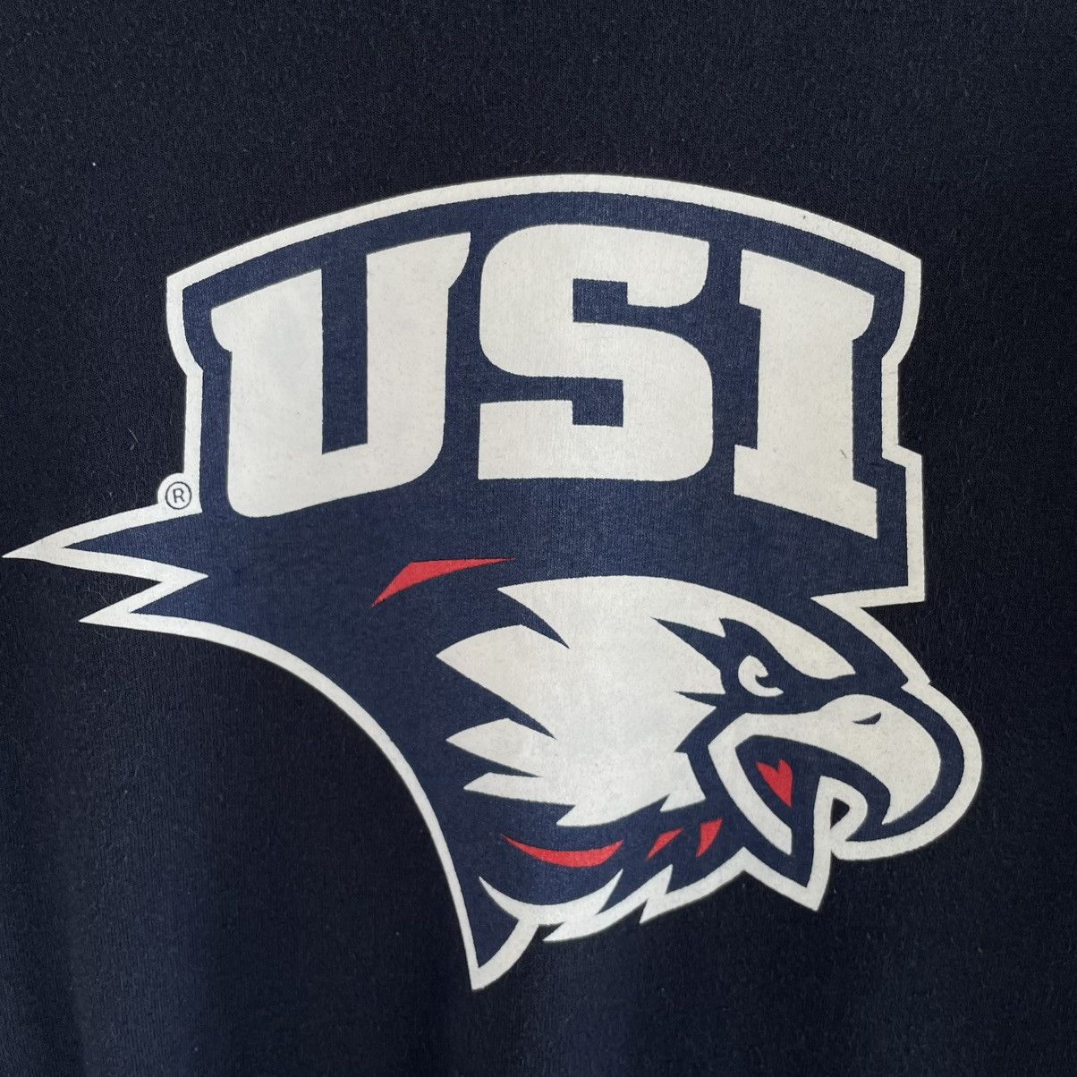 Other University of Southern Indiana Crewneck Sweatshirt Size US M / EU 48-50 / 2 - 3 Thumbnail