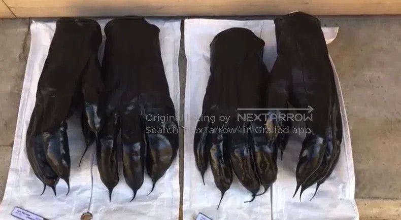 Carol Christian Poell Carol Christian Poell Glove Size ONE SIZE - 9 Thumbnail