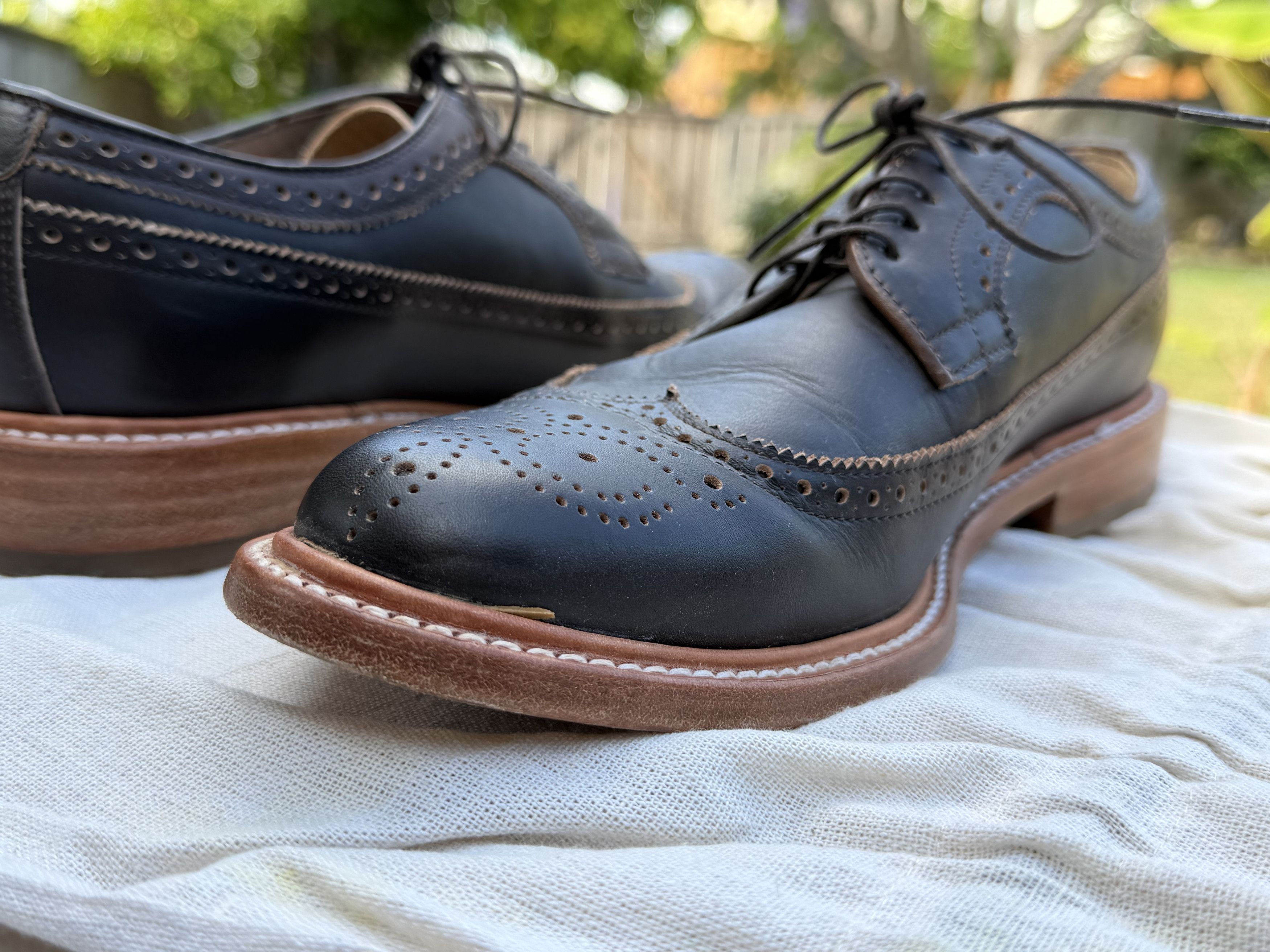 Taylor Stitch Taylor Stitch Brogue Espresso Brown Leather Dress Shoes 12.5 Size US 12.5 / EU 45-46 - 13 Thumbnail