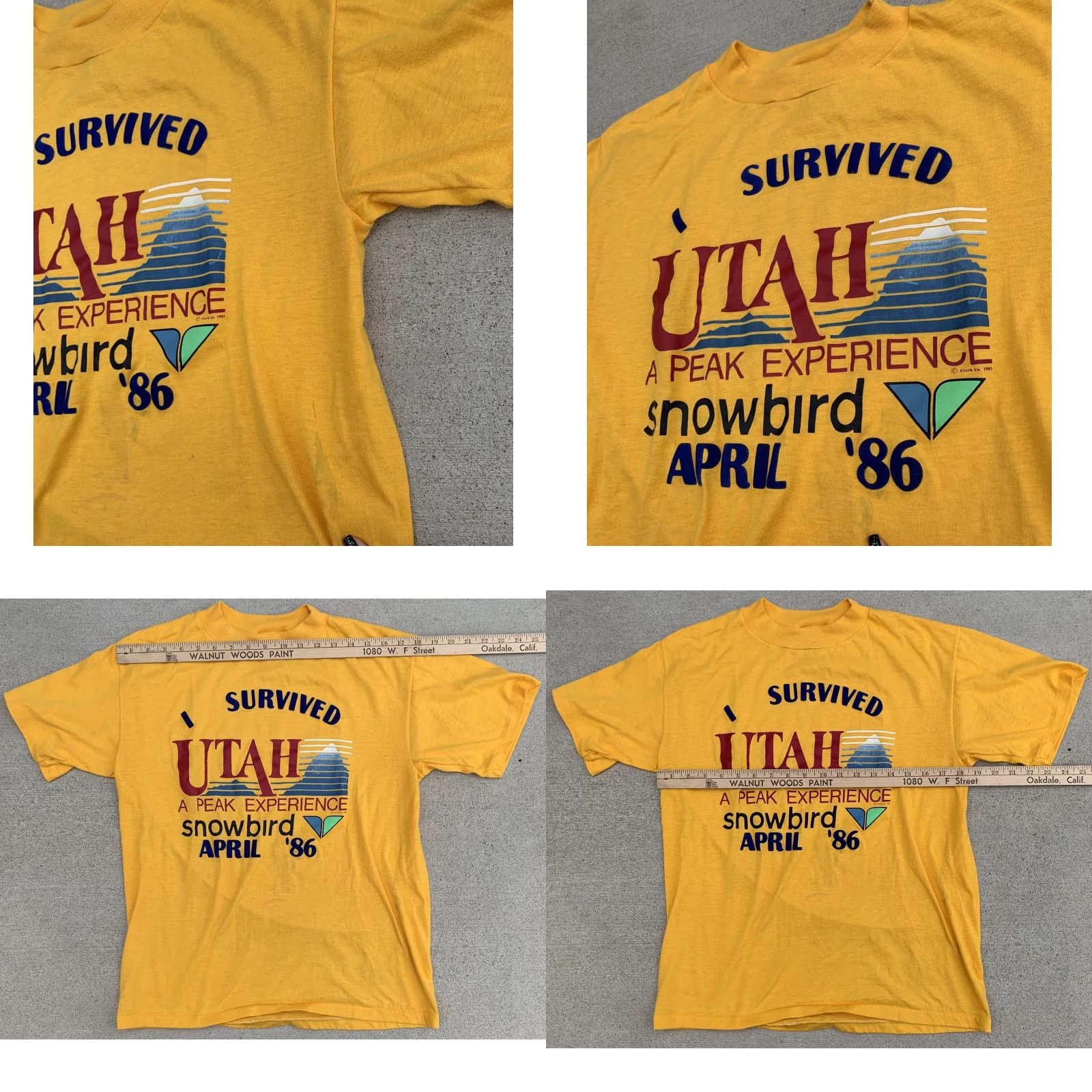 Vintage vintage I survived Utah peak experience snowbird April 86 graphic tee t-shirt L Miller Mens Crew Neck Short Sleeve Yellow 80s nature USA Size US L / EU 52-54 / 3 - 8 Thumbnail