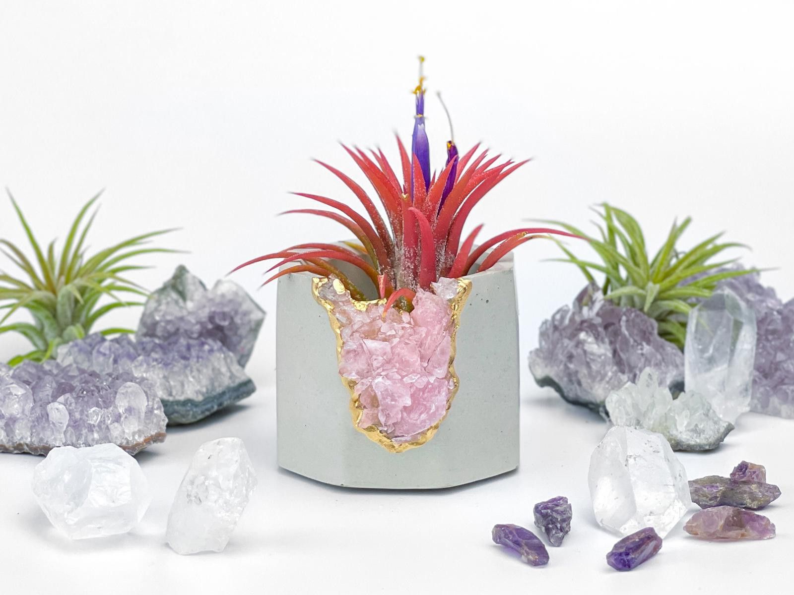 Other Rose Quartz Crystal Planter Concrete Geode Air Plant Holder Size ONE SIZE - 8 Thumbnail