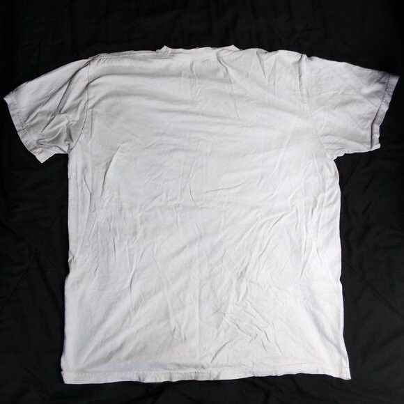 Comfort Colors Oregon Ducks Basketball Rap Tee T-Shirt Size US L / EU 52-54 / 3 - 5 Thumbnail