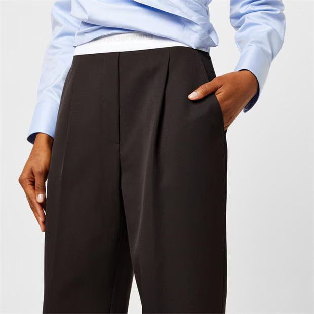 Alexander Wang o1g2r1mq0824 High Waisted Pleat Trousers in Fig Brown Size 34" / US 12 / IT 48 - 3 Thumbnail