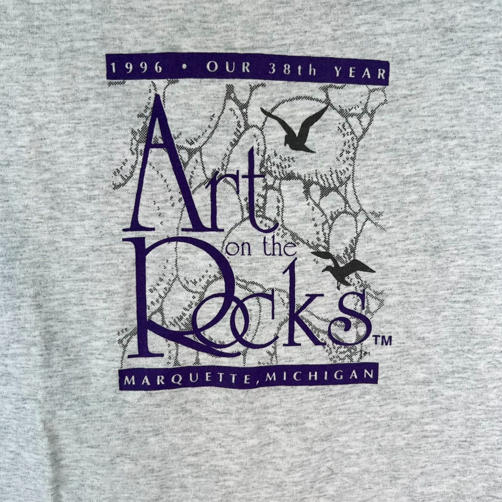 Fruit Of The Loom VINTAGE Fruit of the Loom Art On The Rocks 1996 Shirt Adult Medium Gray Short Sleeve Mens Size US M / EU 48-50 / 2 - 2 Thumbnail