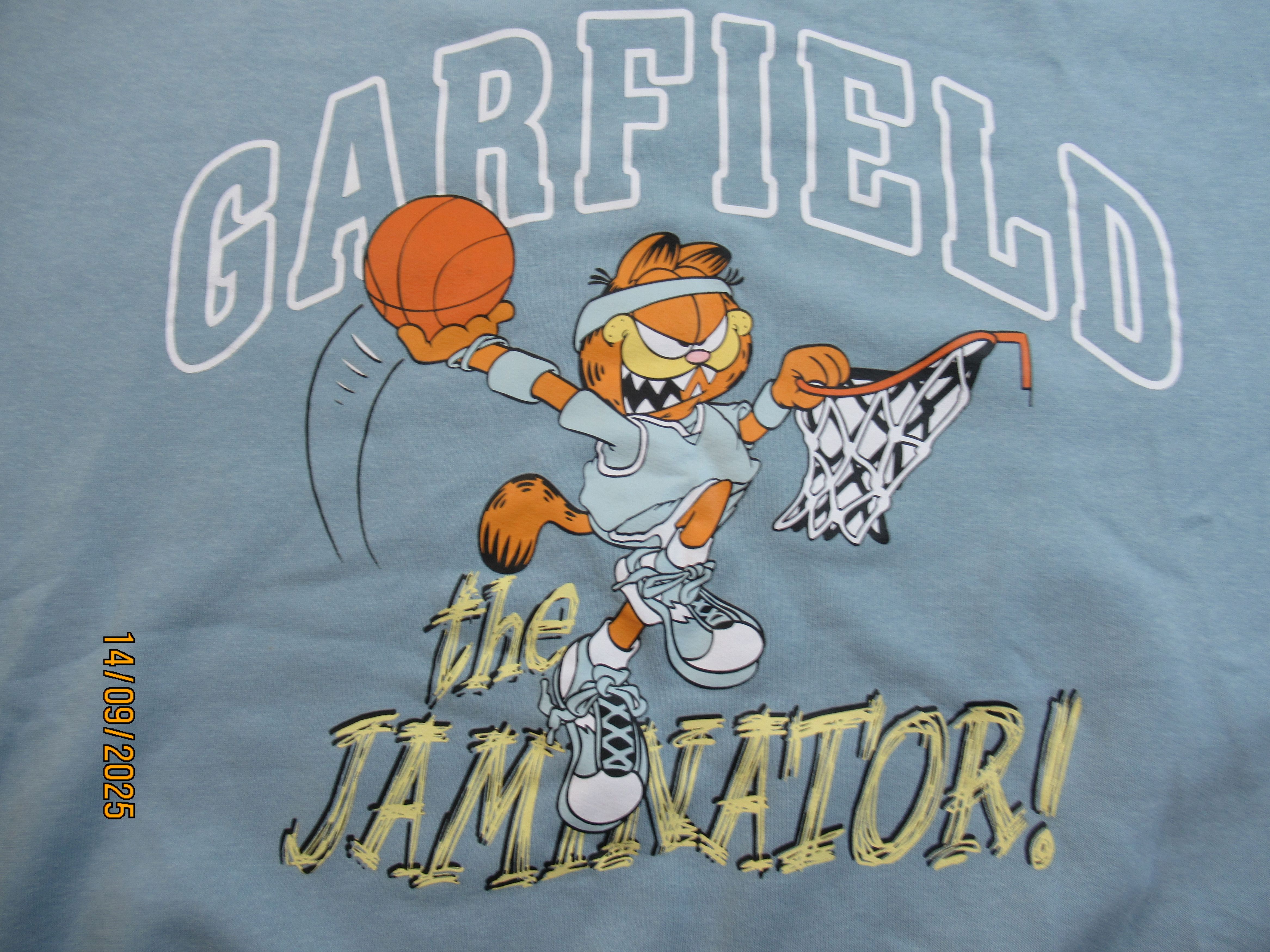 Other Garfield - The Jaminator light blue sweatshirt Size US XXL / EU 58 / 5 - 2 Thumbnail