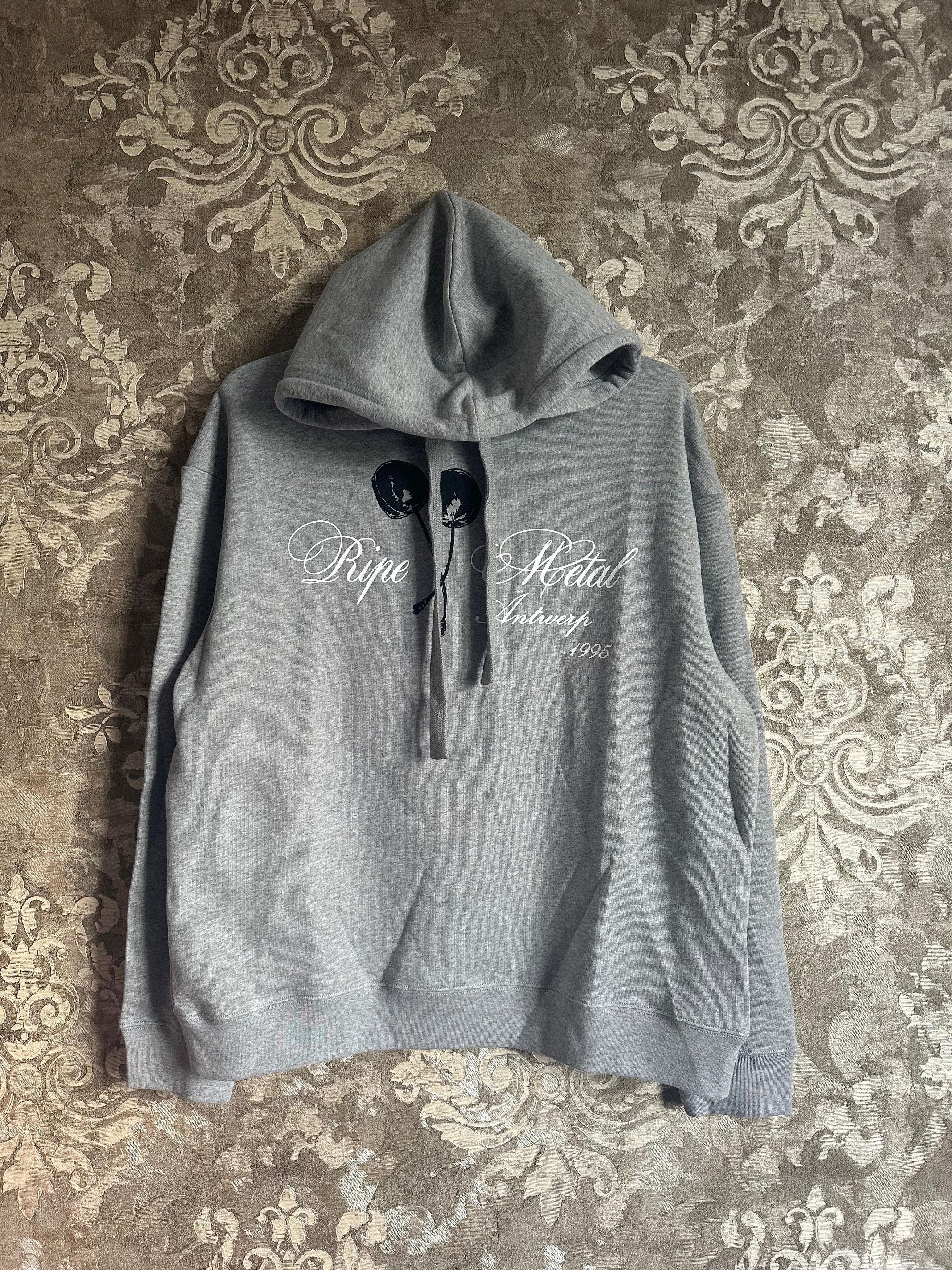 Raf Simons CC000017 Ripe Metal Aw 19/20 Hoodie in Grey | Grailed