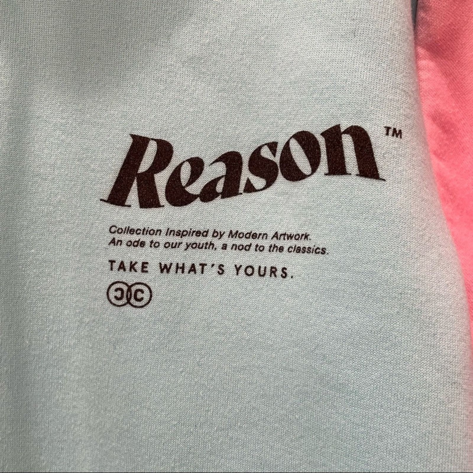 Reason Reason Color Block Hoodie M Size US M / EU 48-50 / 2 - 5 Thumbnail
