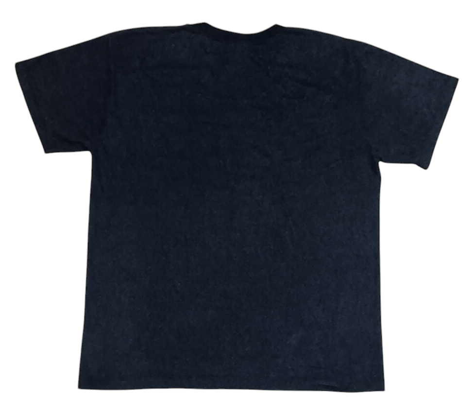 Sports Specialties × Vintage MANNY PACQUIAU FILIPINO PRIDE SHIRT Size US L / EU 52-54 / 3 - 2 Thumbnail