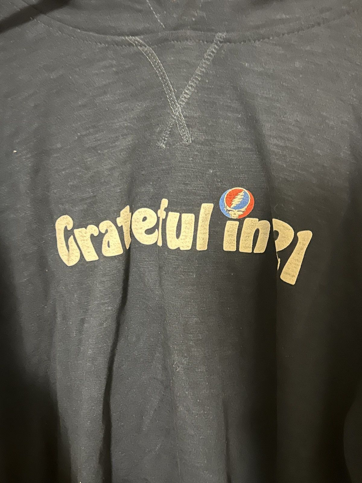 Grateful Dead Blue Grateful Dead Hoodie Size US L / EU 52-54 / 3 - 2 Thumbnail