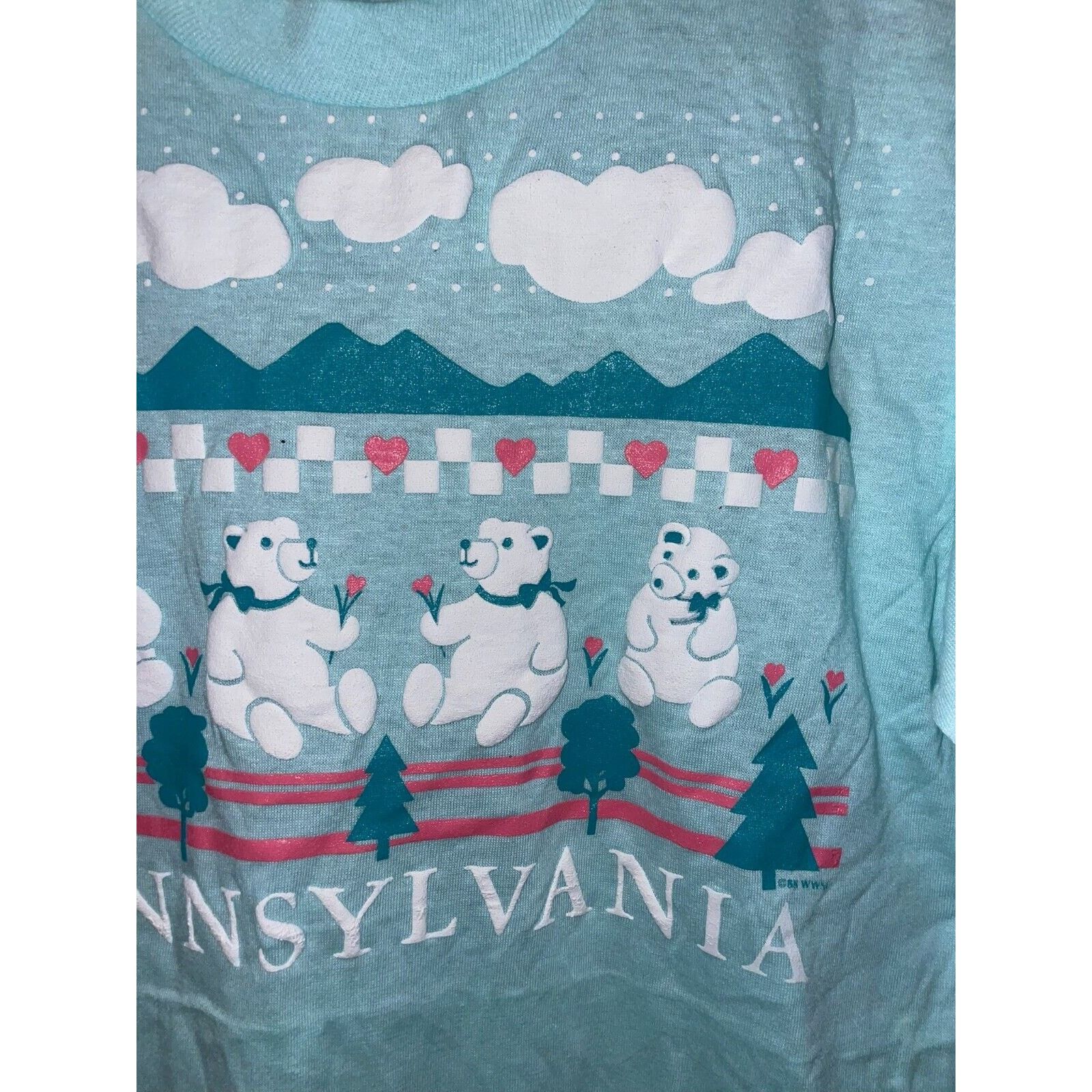 Jerzees Vintage Pennsylvania Blue Shirt Bear Nature Blue Tee 80s M Size US M / EU 48-50 / 2 - 4 Thumbnail