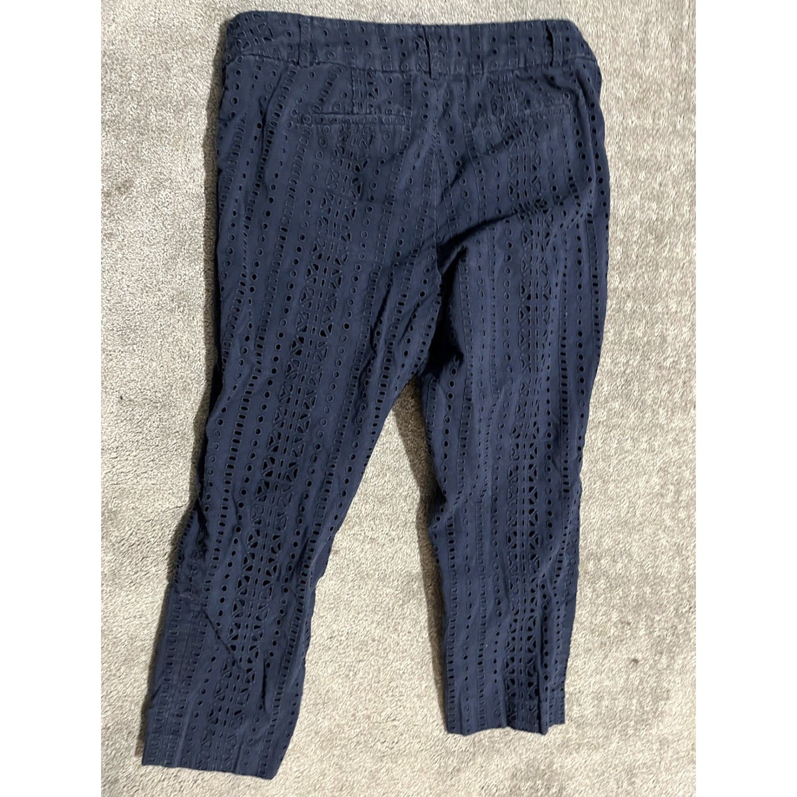 Loft LOFT Riviera Navy Blue Slim Cropped Pants 4 Petite 4P Lined Women’s Shorts & Pants Pants Size 27" / US 4 / IT 40 - 3 Thumbnail