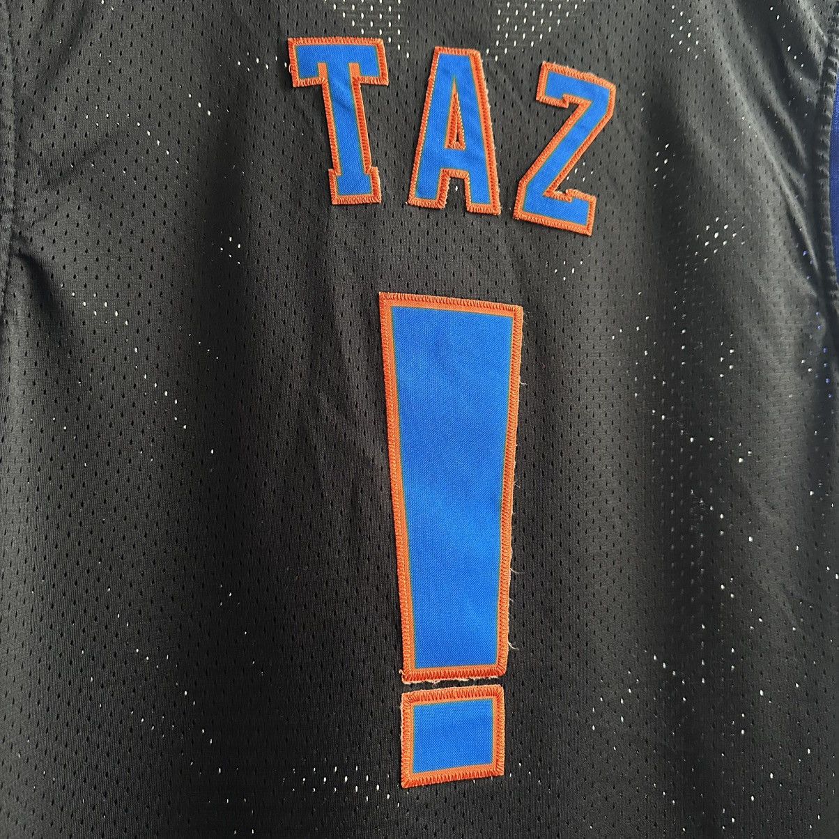 NBA × Warner Bros Vintage Tune Squad Space Jam TAZ #1 Champion NBA Jersey Size US XL / EU 56 / 4 - 10 Thumbnail