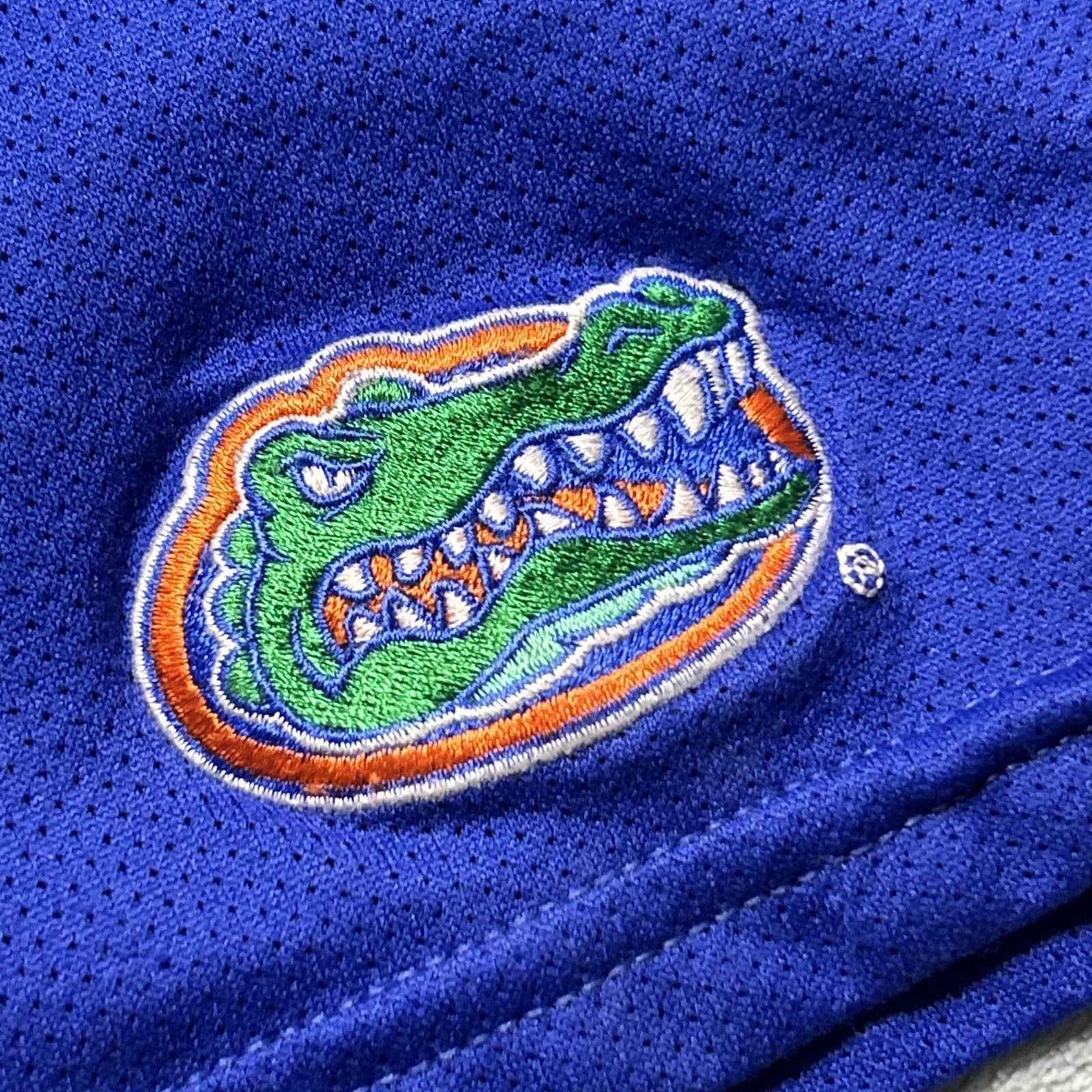 Nike Nike Team Shorts NCAA Florida Gators Mens Large Sports Blue Size US 30 / EU 46 - 7 Thumbnail