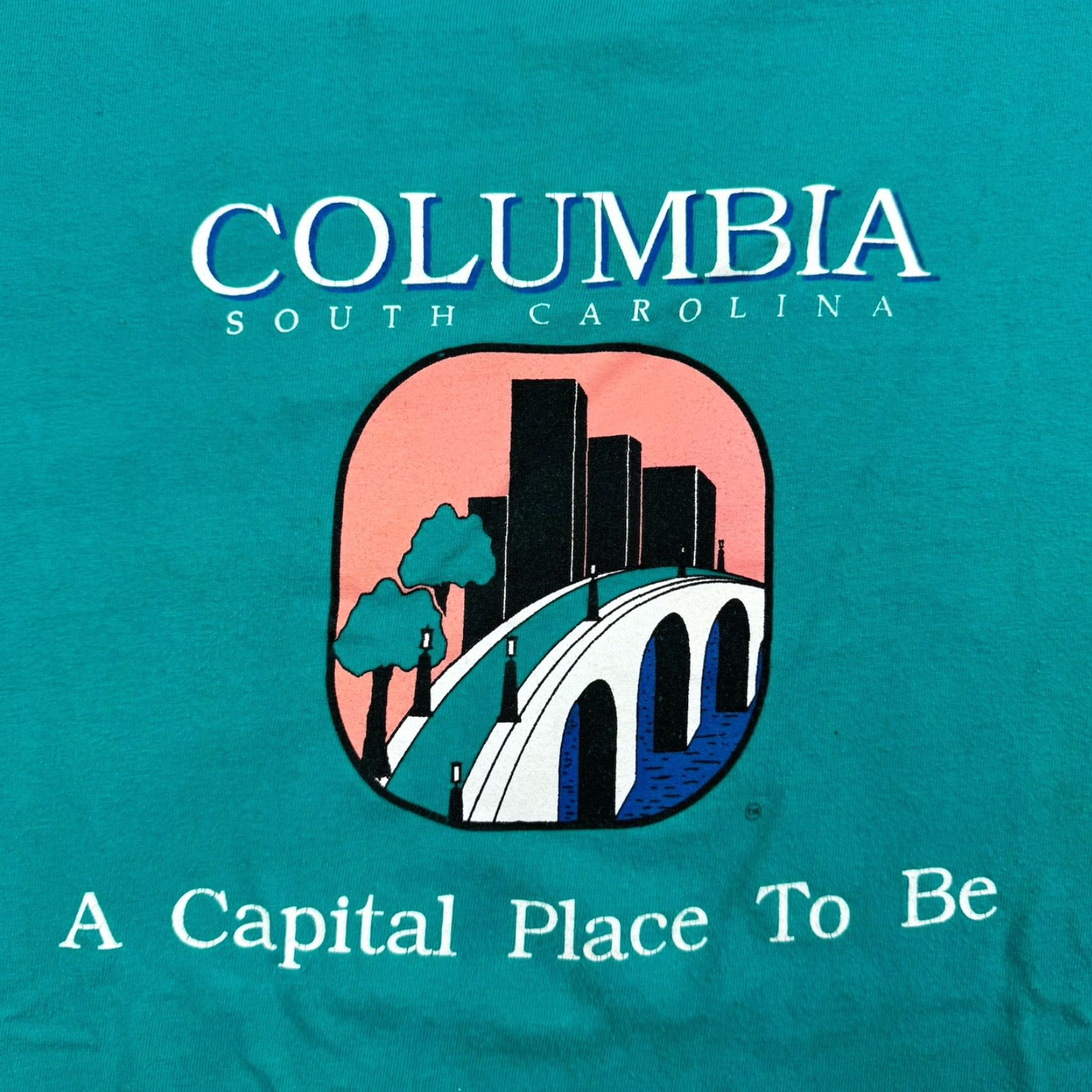 Hanes VINTAGE Hanes South Carolina T-Shirt Adult XL Blue 90s Mens Size US XL / EU 56 / 4 - 5 Thumbnail