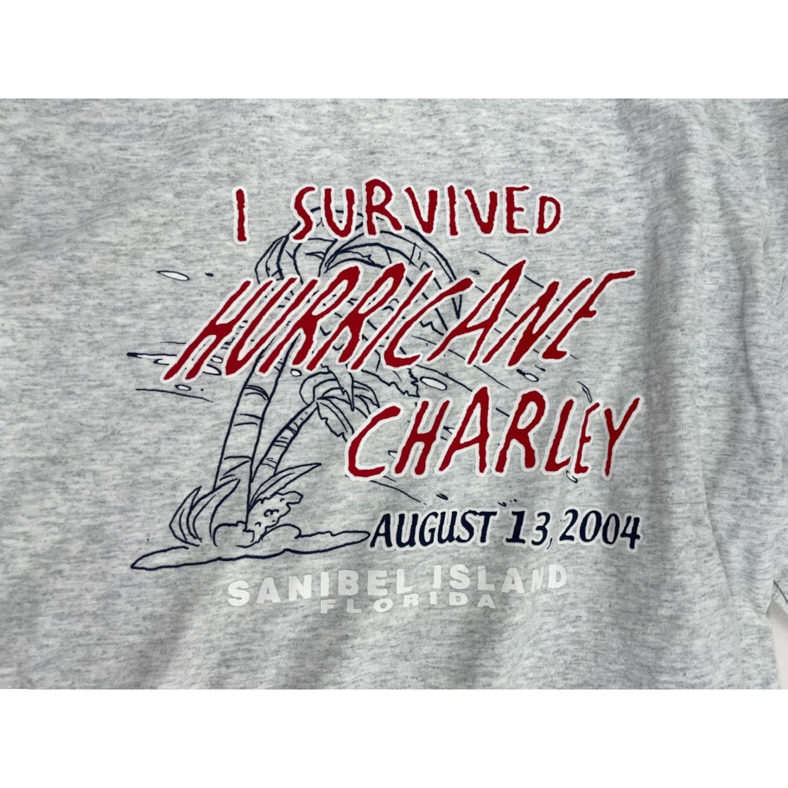 Fruit Of The Loom Fruit of the Loom T-Shirt Mens Size L Gray Heather I Survived Hurricane Charley Shirt Mens L Gray Heather Size US L / EU 52-54 / 3 - 2 Thumbnail