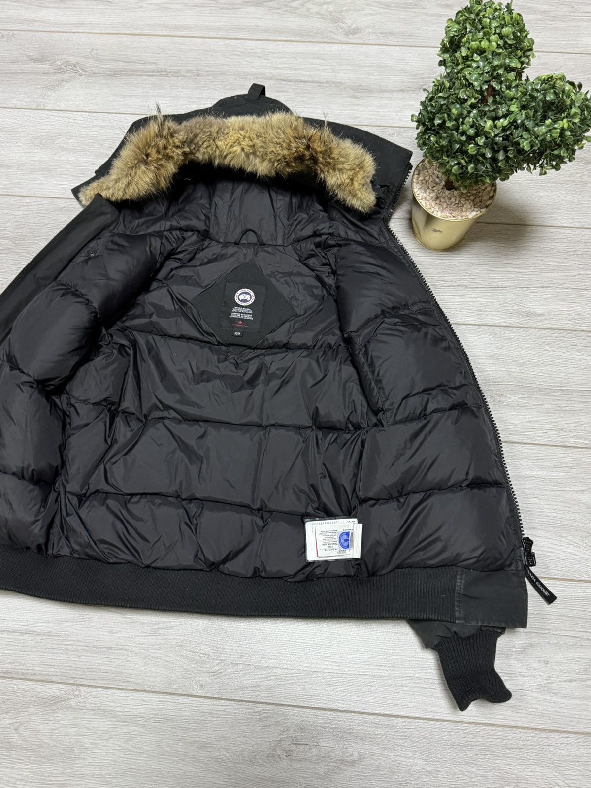 Canada Goose Canada Goose chilliwack bomber fur jacket down Size US S / EU 44-46 / 1 - 9 Thumbnail