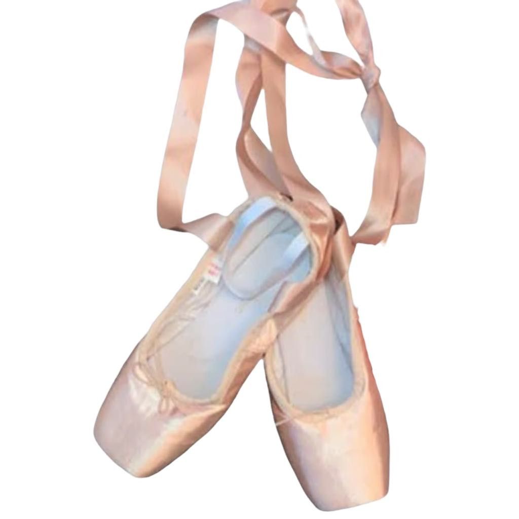 Other DayDance Ballet Pointe Dance Shoes Ribbon Ballerina Size 40 Size US 11 / IT 41 - 9 Thumbnail