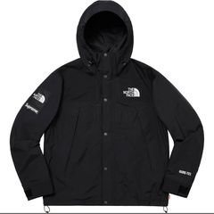 Supreme the north face cheap arc logo mountain parka red