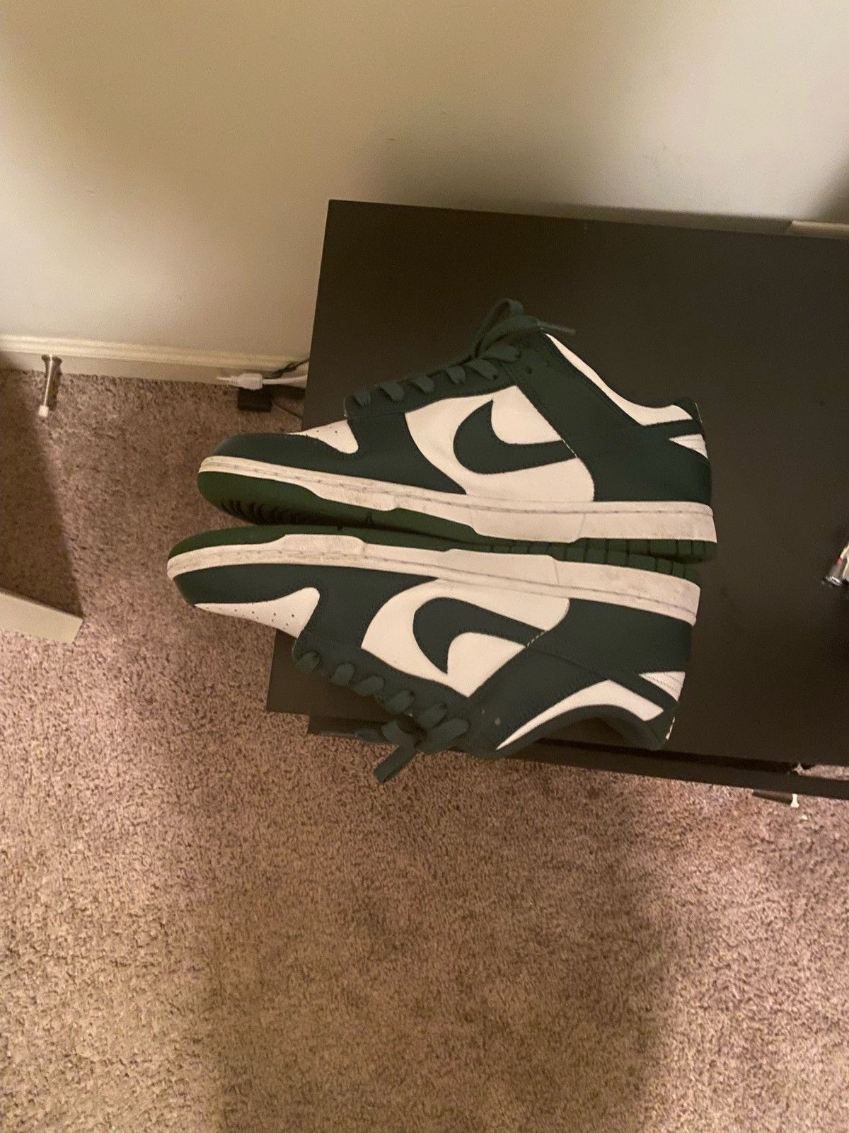 Nike dunk sb Michigan state