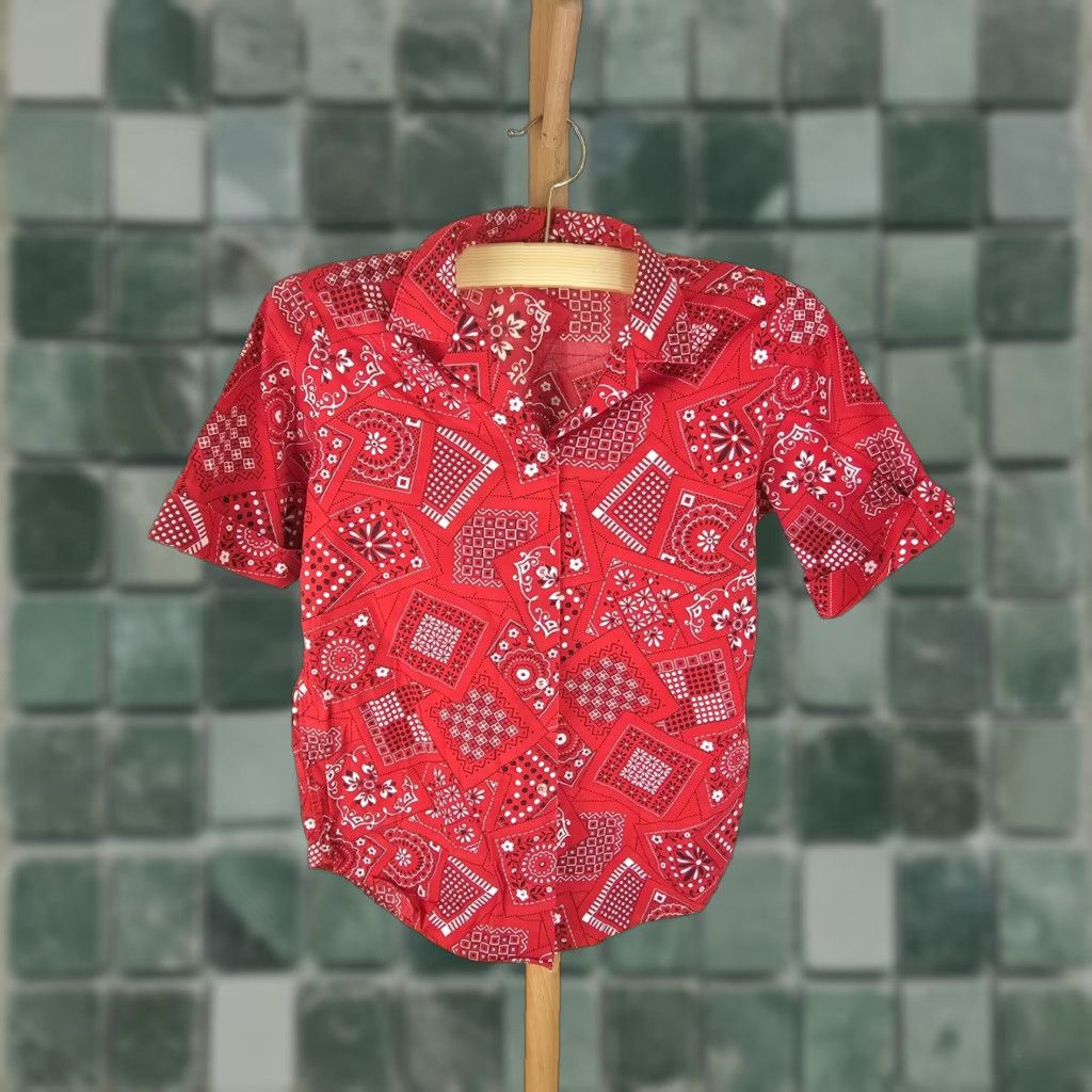 Vintage VINTAGE Rockabilly BUTTON UP SHIRT WOMEN'S L 60's DURABLE PRESS BANDANA RED Shirt XS? Size L / US 10 / IT 46 - 1 Thumbnail