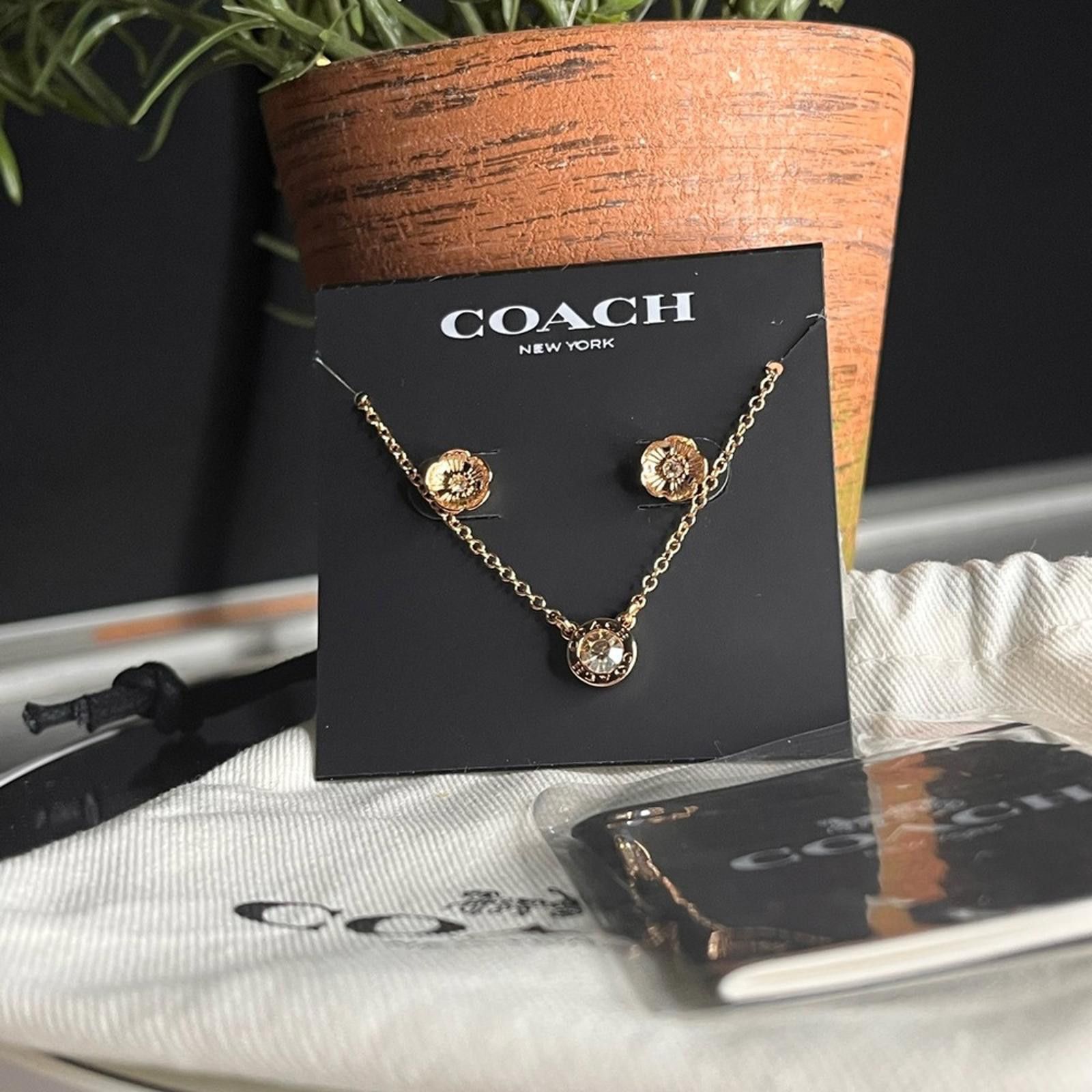 Coach Coach Rose Gold Tea Rose Earrings And Open Circle Necklace Size ONE SIZE - 2 Thumbnail