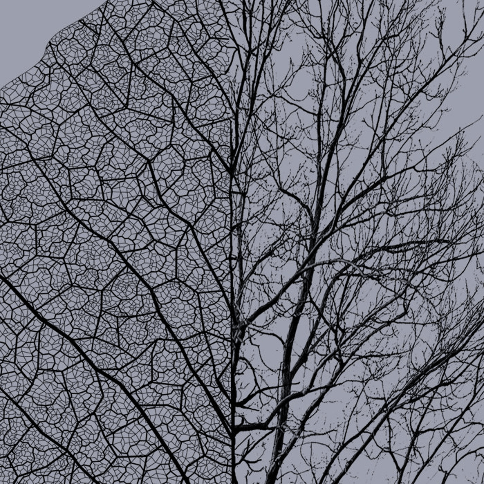 Designer × Vintage Eco-Friendly Nature-Inspired Tree Size US M / EU 48-50 / 2 - 3 Thumbnail