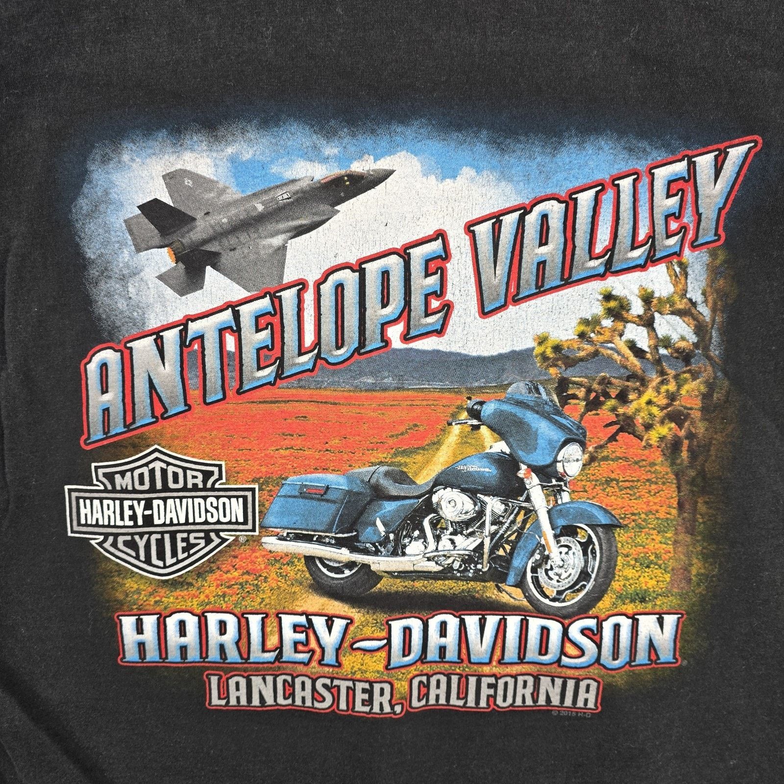 Harley Davidson Harley Davidson HDMC Shirt Large Antelope Valley California Size US L / EU 52-54 / 3 - 10 Thumbnail