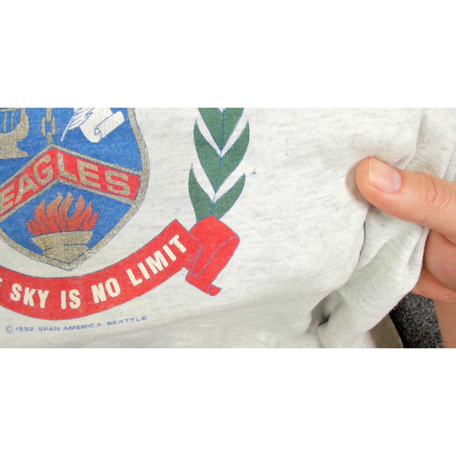 Fruit Of The Loom Fruit Of The Loom Vintage 1992 Single Stitch Eagle Tee XXL Size US XXL / EU 58 / 5 - 7 Thumbnail