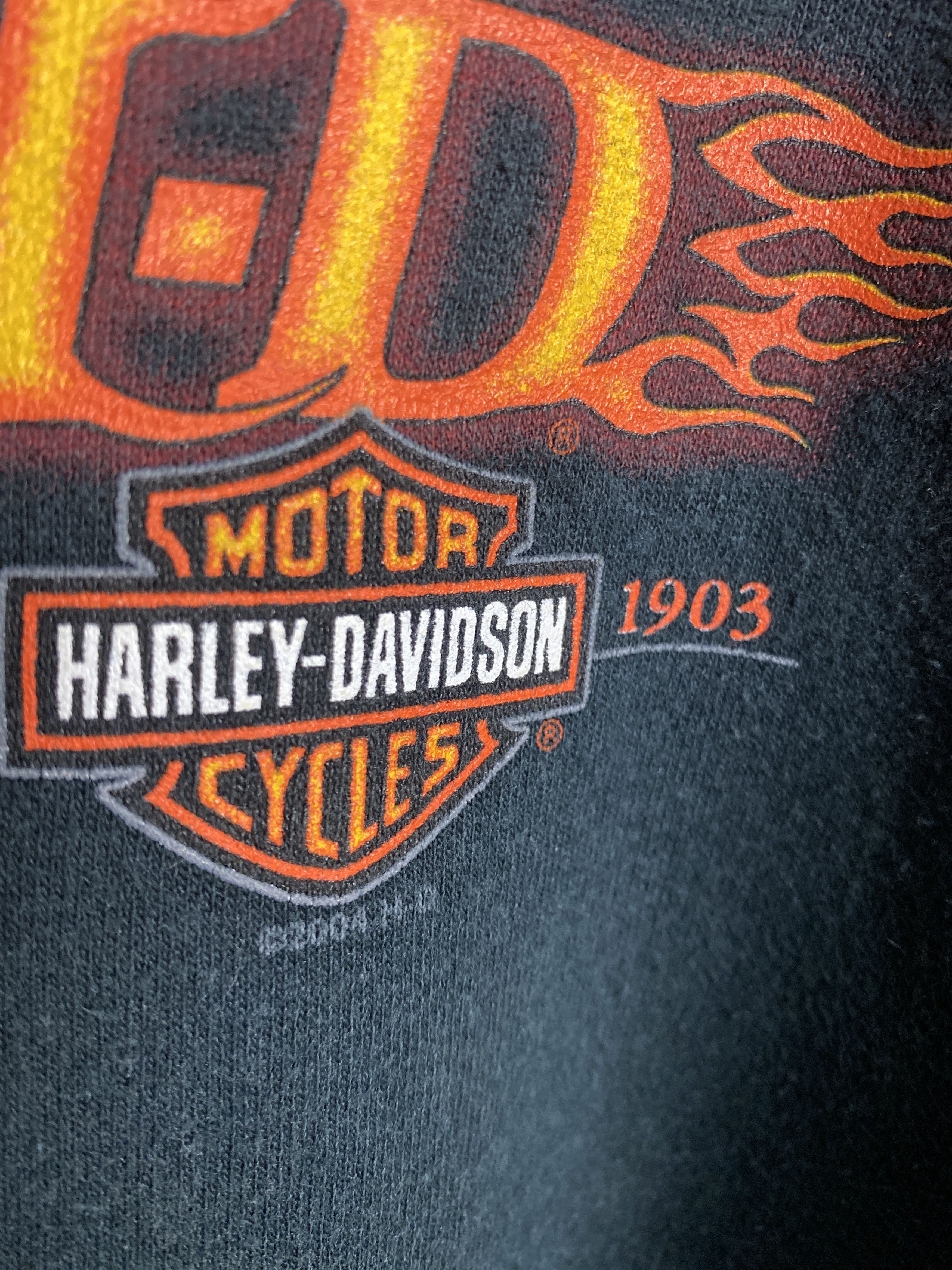 Harley Davidson Harley Davidson 2004 vintage zip-up hoodie moto Size US XL / EU 56 / 4 - 4 Thumbnail