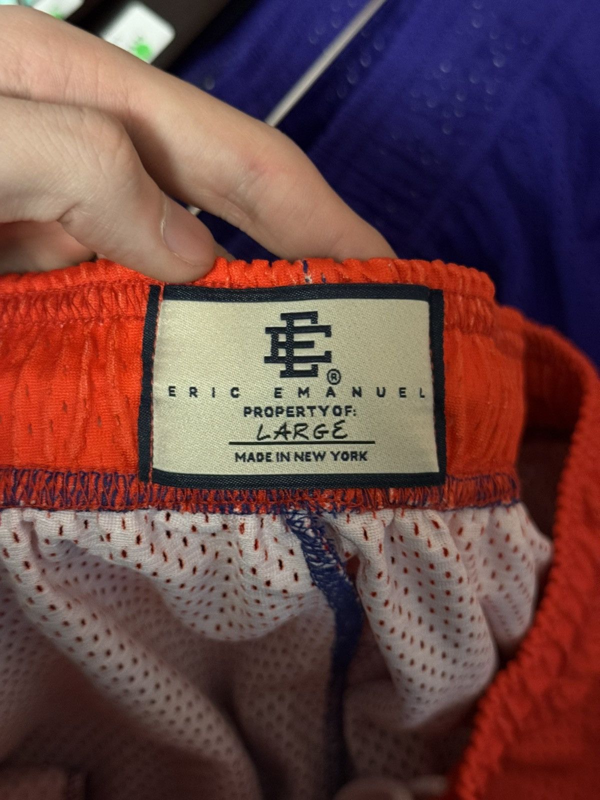Eric Emanuel × Warren Lotas Eric Emanuel x Warren Lotas Mesh Shorts Size Large (NEW) Size US 31 - 7 Thumbnail