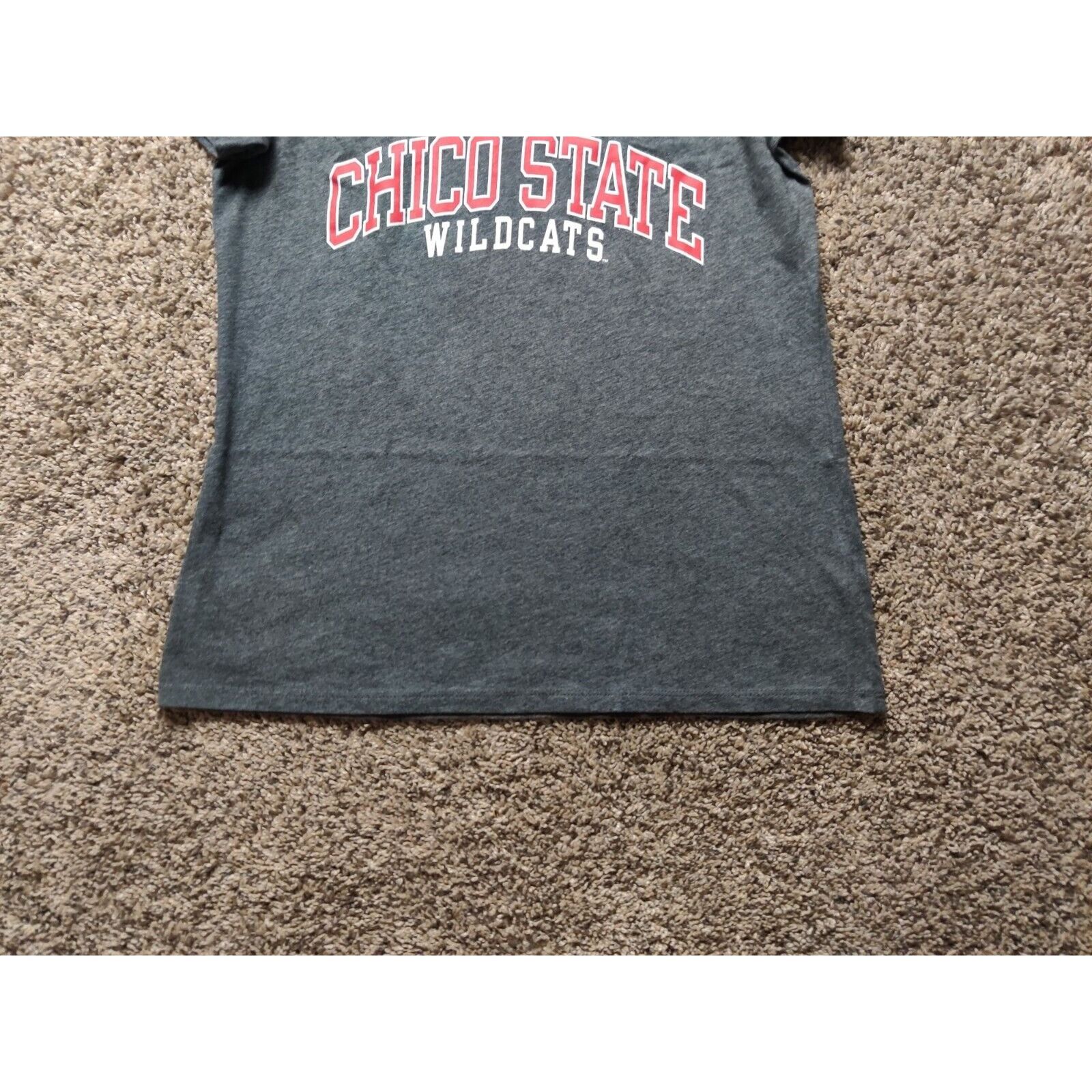 Champion Chico State Wildcats Shirt Women Medium Spell Out V-Neck Size M / US 6-8 / IT 42-44 - 4 Thumbnail