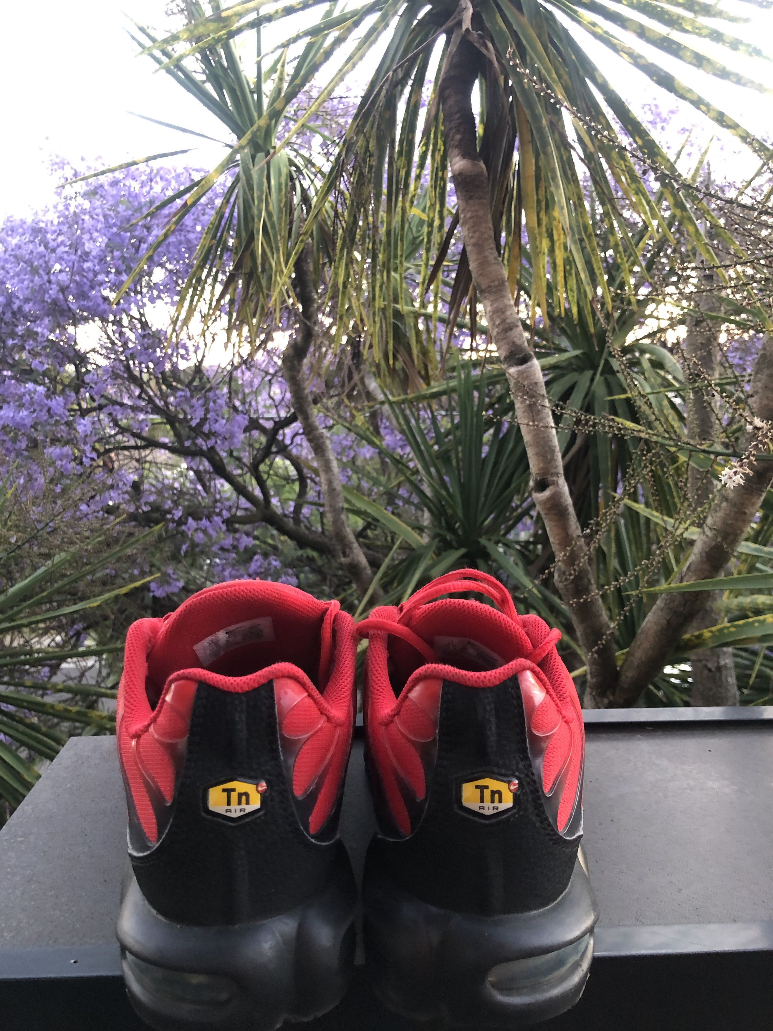 Nike Nike TN Red/Black US 11 Size US 11 / EU 44 - 2 Thumbnail