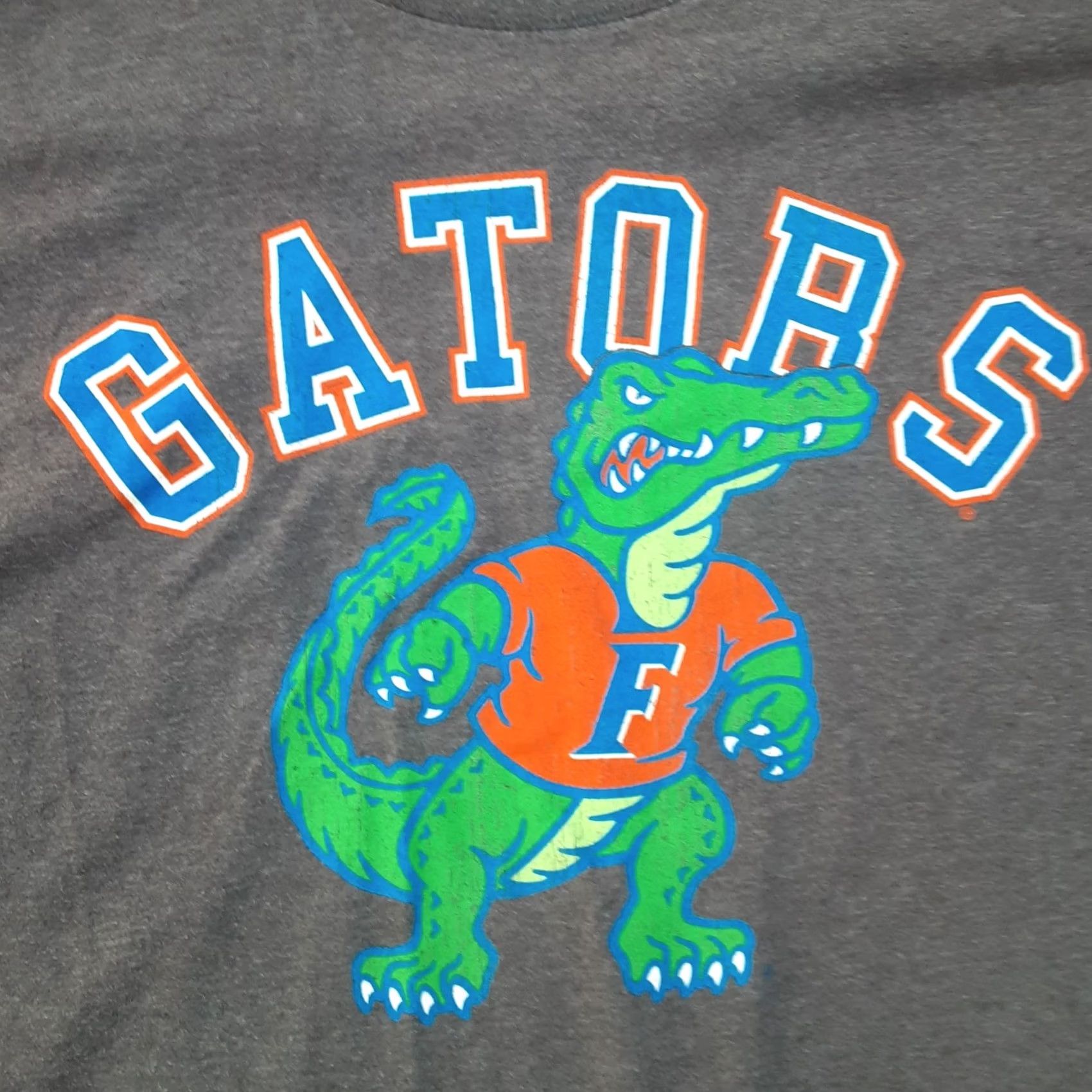 Vintage Florida Gators Mens XL Graphic T Shirt Short Sleeve Elite Fan Gray NCAA Tee Size US XL / EU 56 / 4 - 2 Thumbnail
