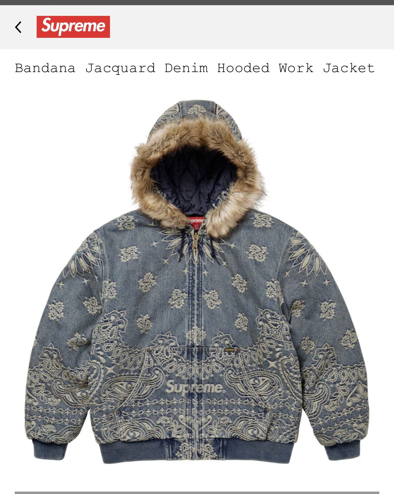 Spring/Summer 2025 Preview – Supreme