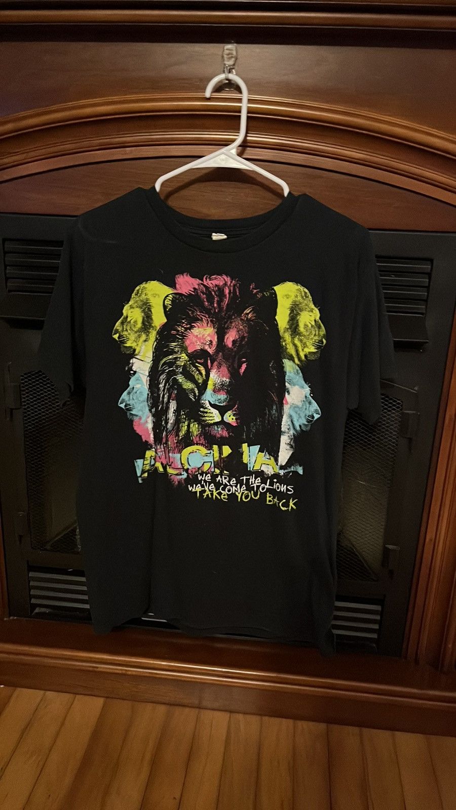 Other Men’s 2006 Metalcore Scene Band Alcina Shirt Size US M / EU 48-50 / 2 - 1 Thumbnail