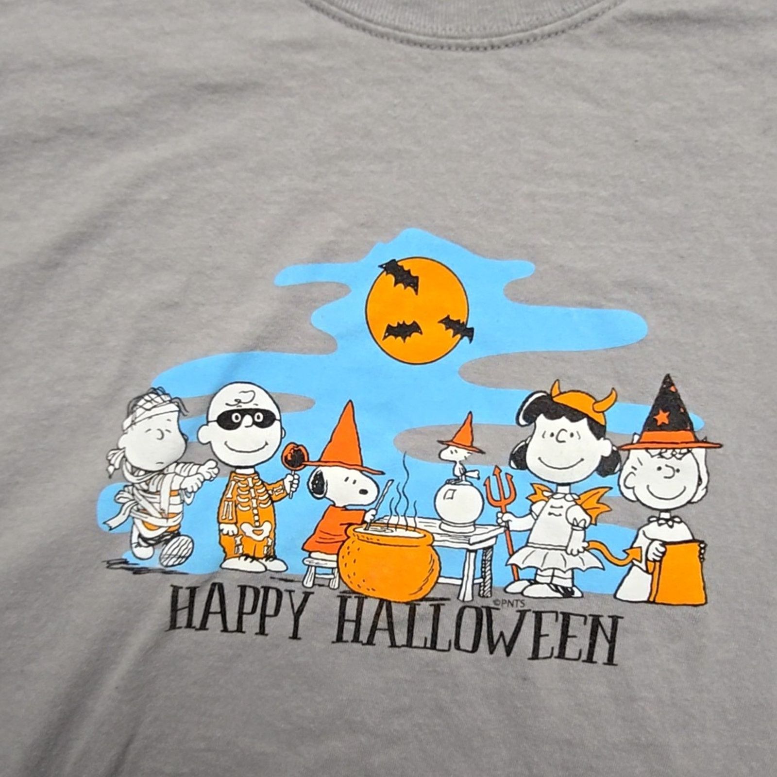 Gildan Charlie Brown Peanuts Halloween Shirt Gray Mens XL Tee Size US XL / EU 56 / 4 - 2 Thumbnail
