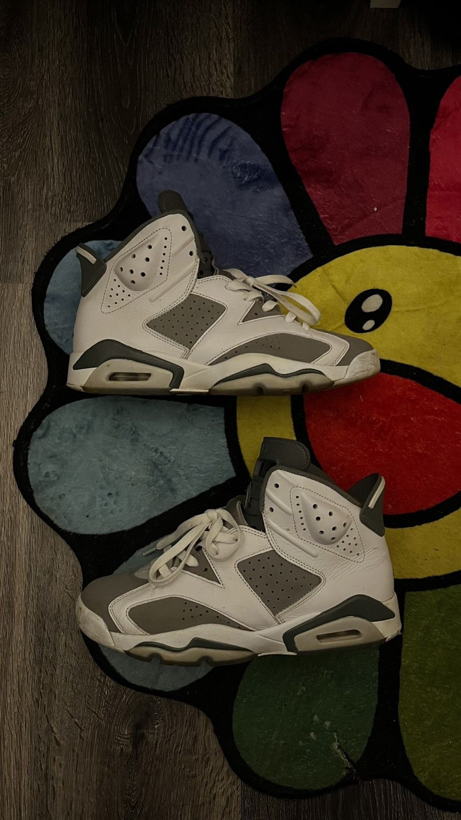 Jordan Brand Jordan 6 Retro Cool Greys Size US 9 / EU 42 - 1 Thumbnail