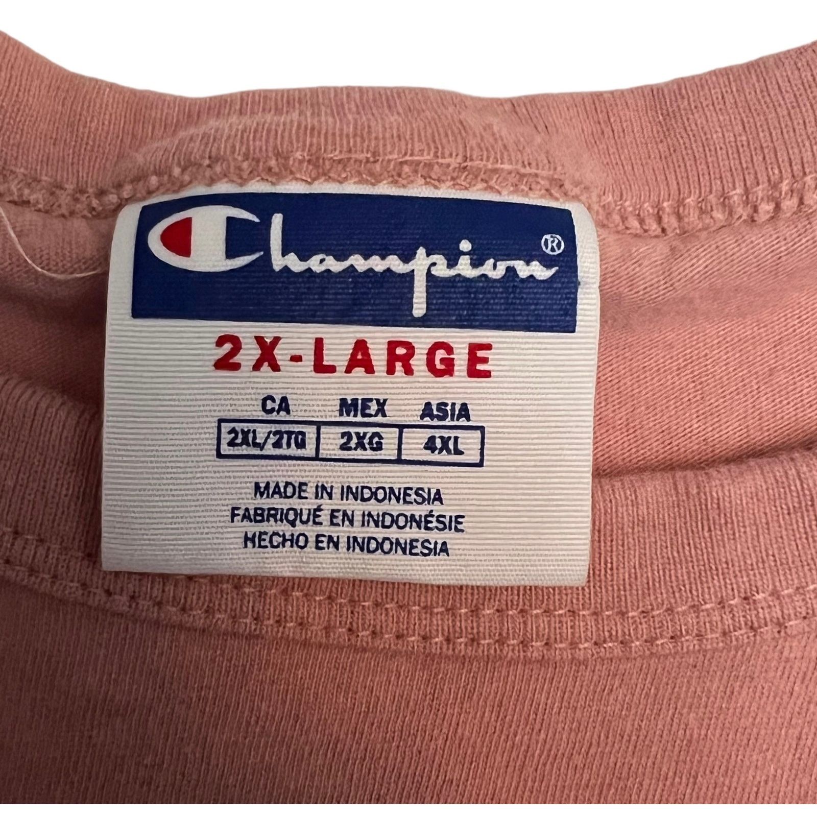 Champion Vintage Champion Label Branded Felt Logo T-Shirt Size US XXL / EU 58 / 5 - 2 Thumbnail