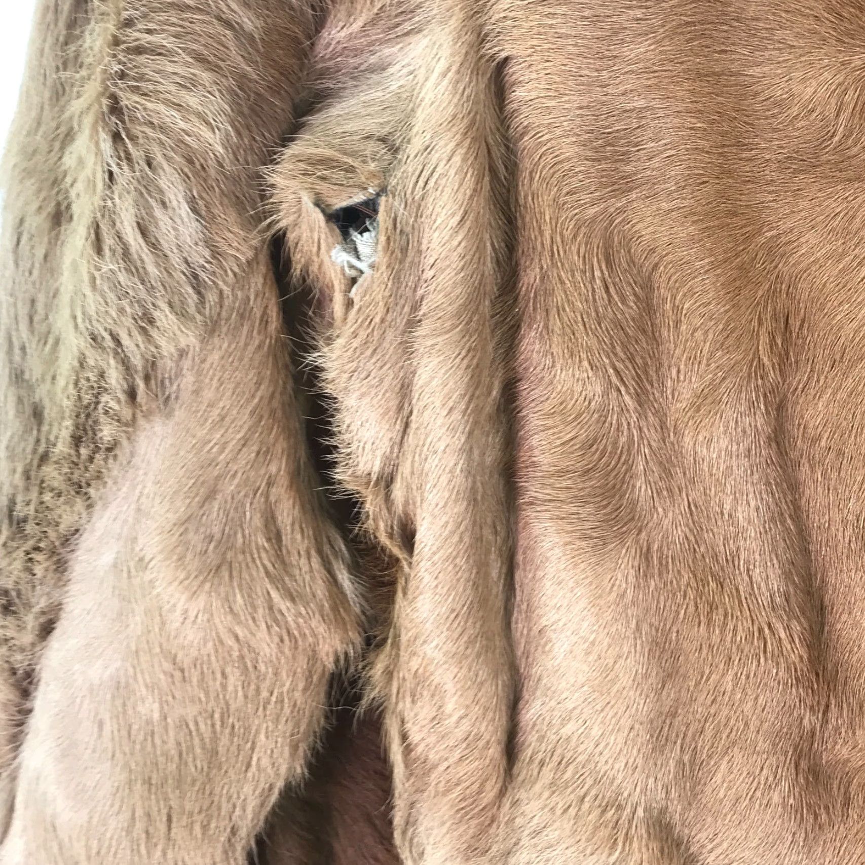 Vintage VINTAGE VTG Womens Horsehide Red Fox Cuffed Sleeve Brown Winter Jacket Coat Size 12 Size XL / US 12-14 / IT 48-50 - 6 Thumbnail