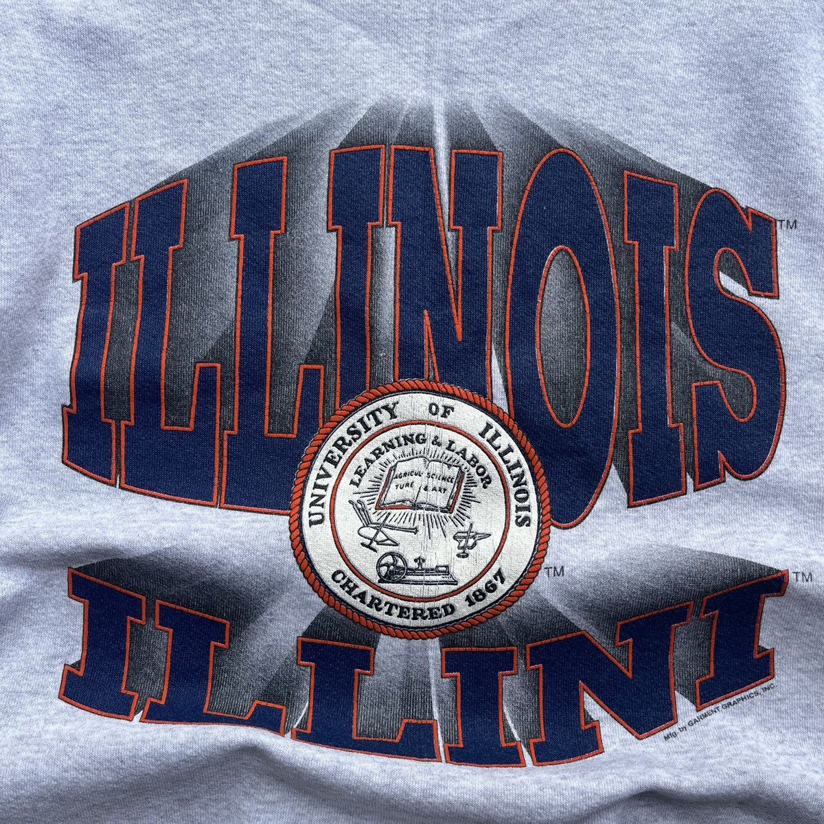 Tultex × Vintage Tultex Vintage University of Illinois Spellout Crewneck Size US M / EU 48-50 / 2 - 4 Thumbnail