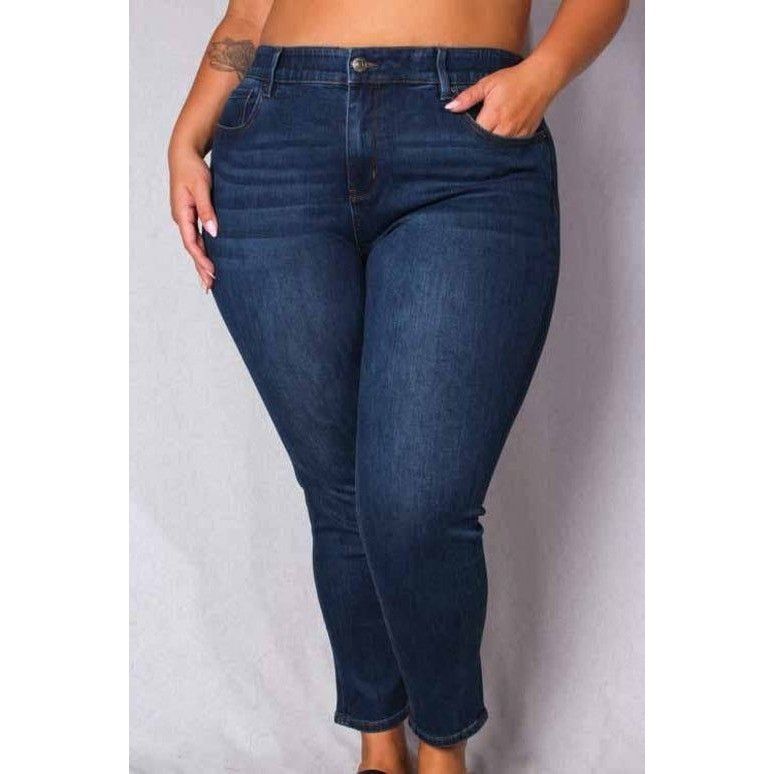Other Womens Plus Mid Rise Skinny Leg Denim Jeans Size 18 Size 40" / US 18 - 1 Thumbnail