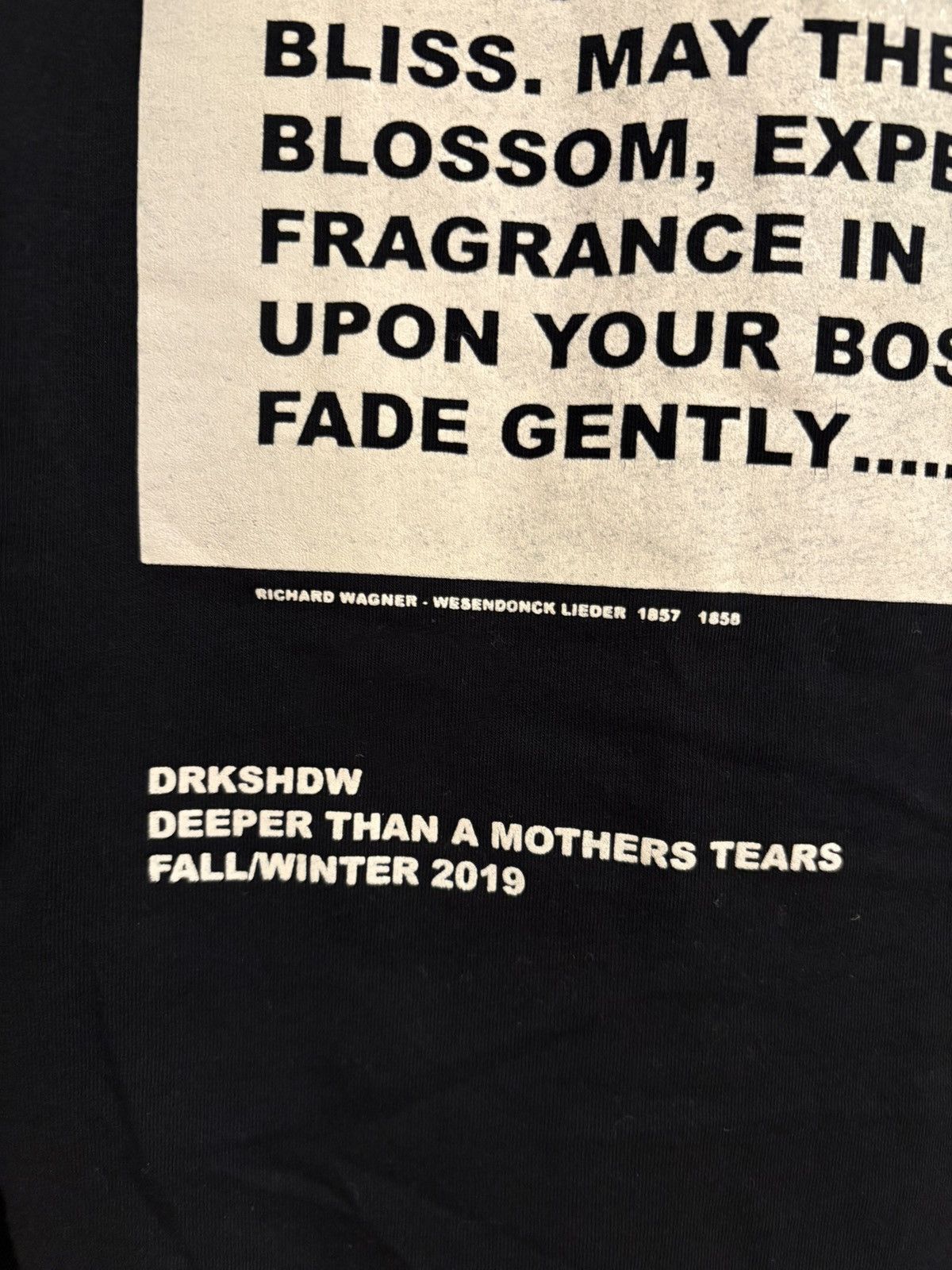 Rick Owens Drkshdw AW 19 long sleeve Size US L / EU 52-54 / 3 - 2 Thumbnail