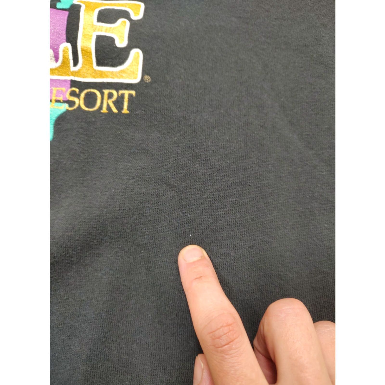 Jerzees VINTAGE 90s Trump Castle Casino Resort Sweatshirt Crewneck Mens L Black JERZEES USA Patriotic Logo Pullover Knit Cotton Polyester Made in USA Size US L / EU 52-54 / 3 - 7 Thumbnail