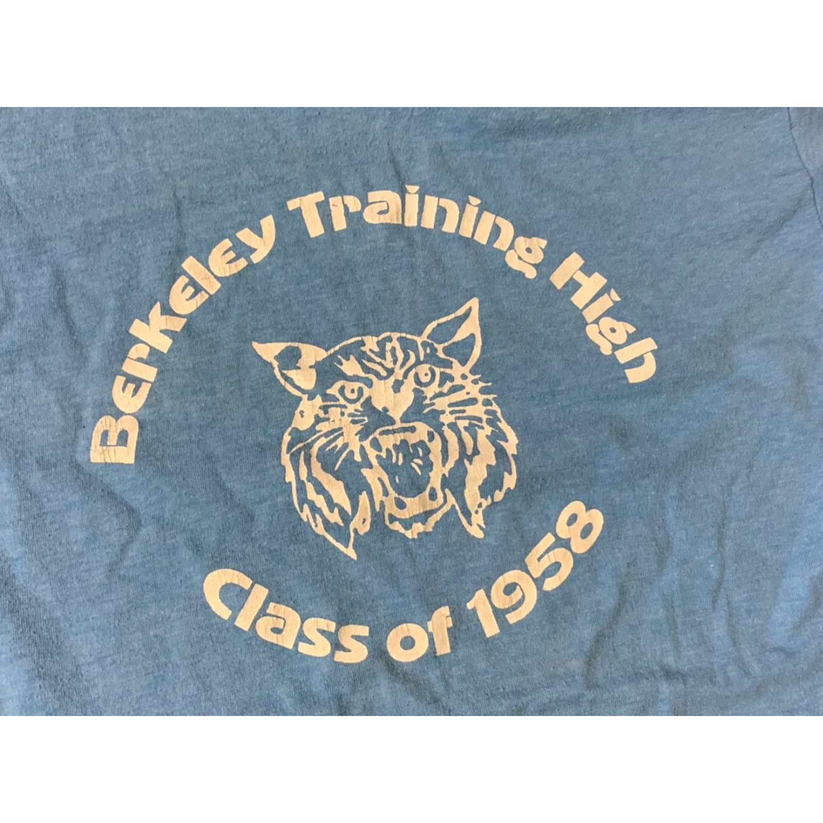 Hanes Berkeley Training Mens Medium Extra Large XL Vintage T Shirt Size US M / EU 48-50 / 2 - 2 Thumbnail