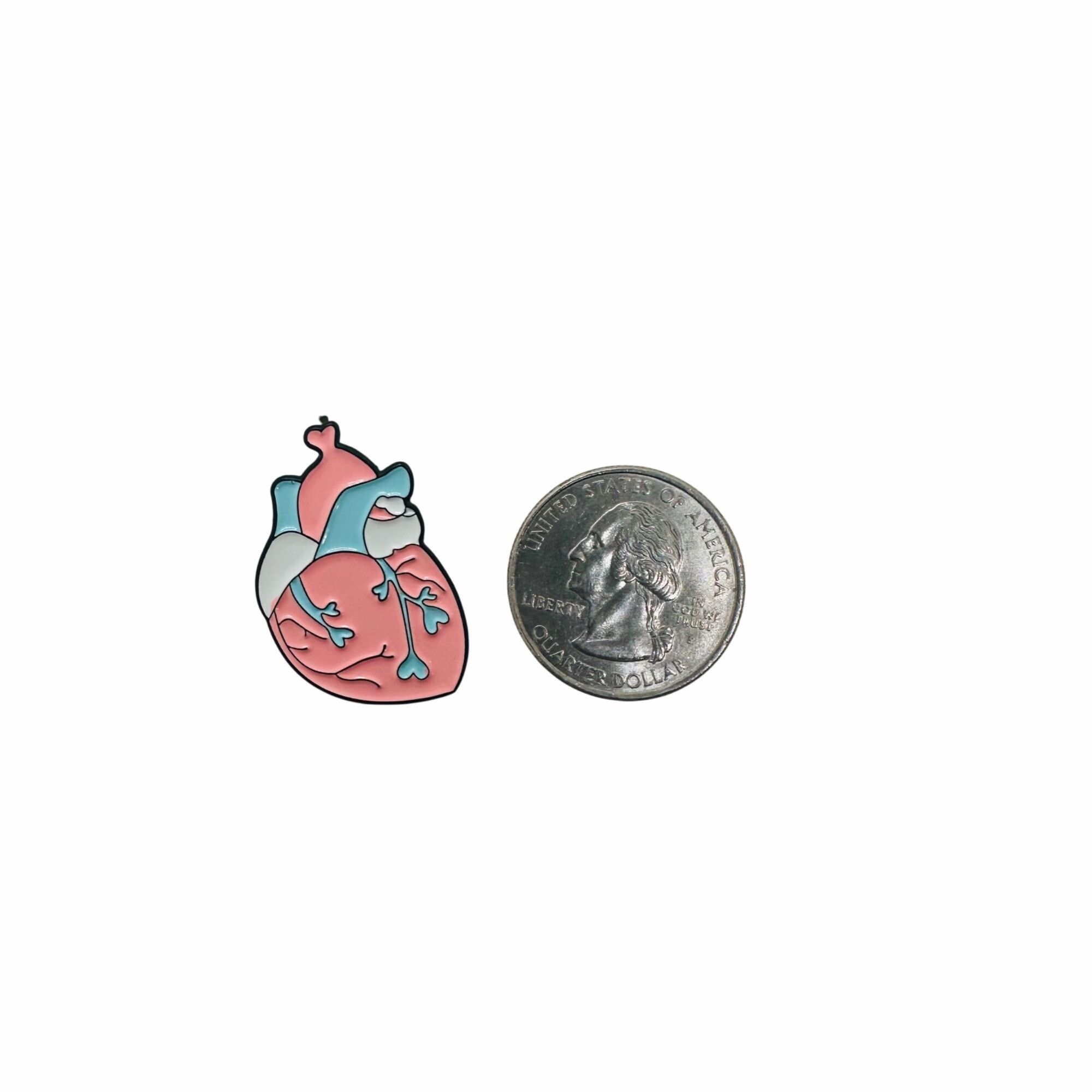 Other Anatomical Human Heart Shape Pride Enamel Pin Brooch Pink B Size ONE SIZE - 3 Thumbnail