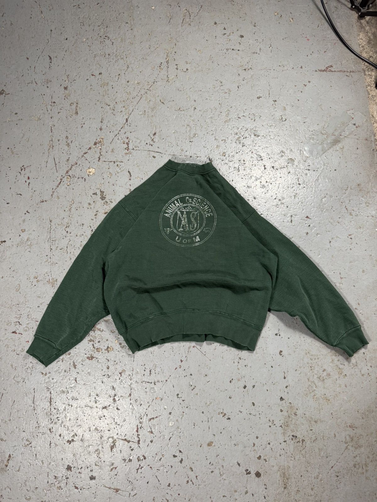 NCAA Vintage Faded Animal Science U Of M Crewneck Sweater Size US L / EU 52-54 / 3 - 2 Thumbnail