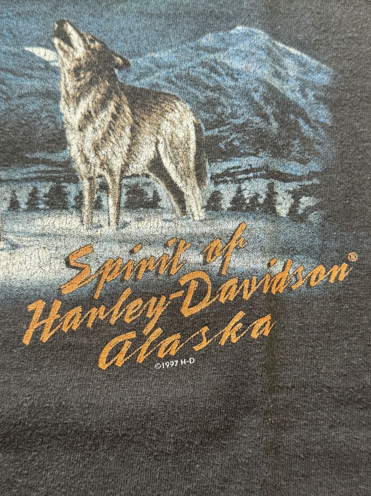 Harley Davidson Vintage 1997 Taku Harley Davidson Spirit of Alaska Size US L / EU 52-54 / 3 - 3 Thumbnail